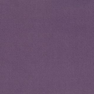 PETRA PRINS DOT PURPLE