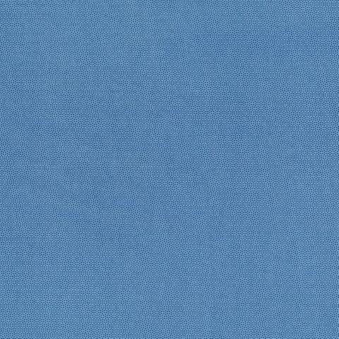 PETRA PRINS DOT ROYAL