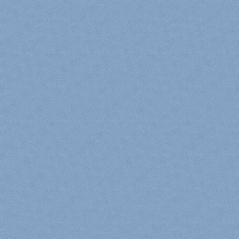 PETRA PRINS DOT ROYAL