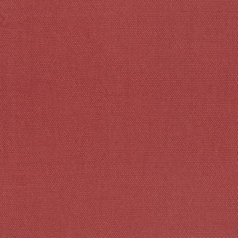 PETRA PRINS DOT RUBY