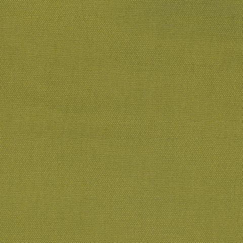 PETRA PRINS DOT OLIVE