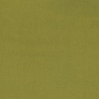 PETRA PRINS DOT OLIVE