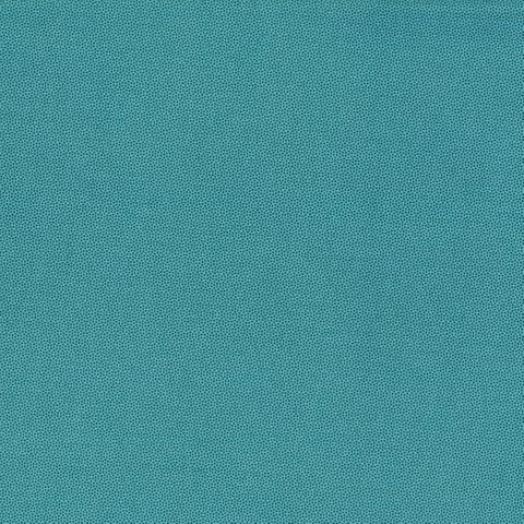 PETRA PRINS DOT PETROL