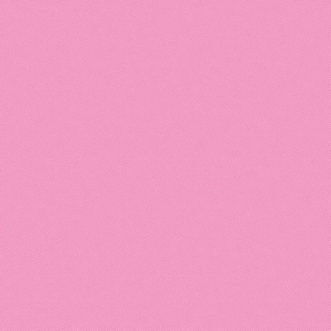 PETRA PRINS DOT PRINSK