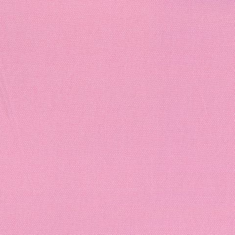 PETRA PRINS DOT PRINSK