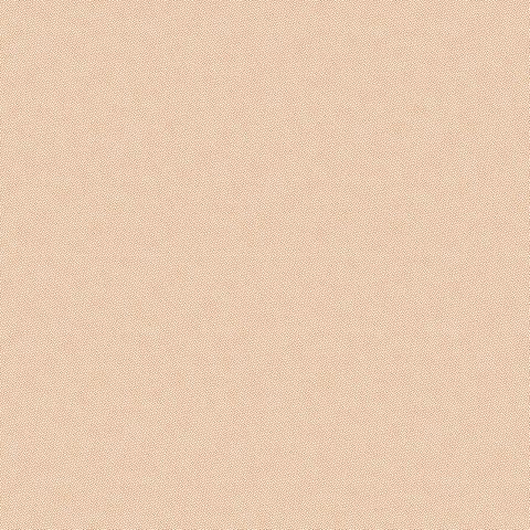 PETRA PRINS DOT PUMPKIN