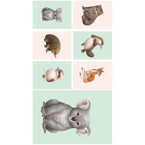 LITTLE AUSSIE FRIENDS