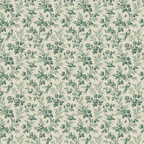 CONSTANCE LUNETTE COORDINATE