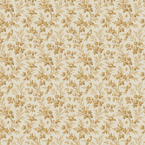 CONSTANCE LUNETTE COORDINATE