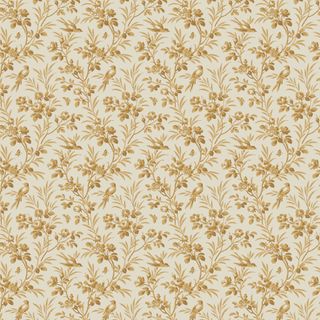 CONSTANCE LUNETTE COORDINATE