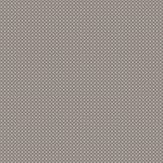 MOLLY & MAY GREY SPOT CHECK