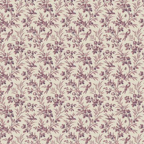 CONSTANCE LUNETTE COORDINATE