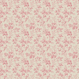 CONSTANCE LUNETTE COORDINATE