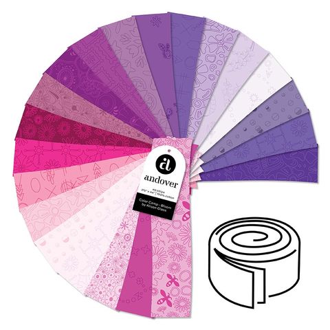 COLOR CAMP - BLOOM PRECUT