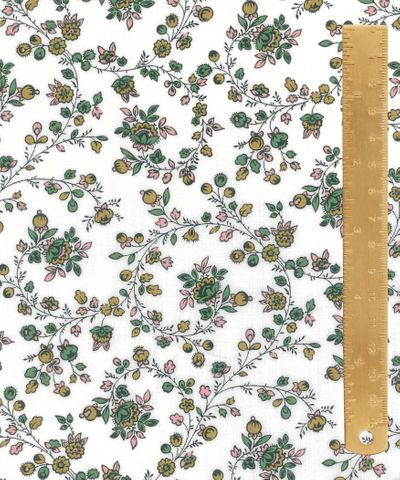 TANA LAWN AW26 WHIMSY