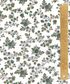 TANA LAWN AW26 WHIMSY