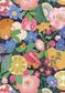 TANA LAWN AW26 JILLIE
