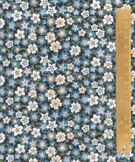 TANA LAWN AW26 DAPHNE OLENNA
