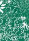 TANA LAWN AW26 STUDIO FLORALS