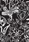 TANA LAWN AW26 STUDIO FLORALS