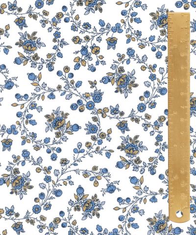 TANA LAWN AW26 WHIMSY