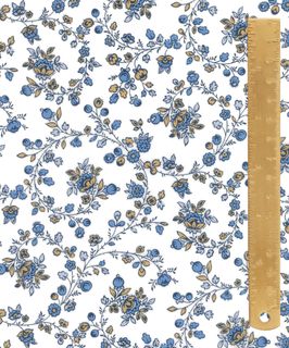 TANA LAWN AW26 WHIMSY