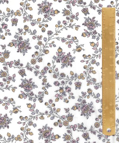 TANA LAWN AW26 WHIMSY
