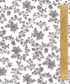 TANA LAWN AW26 WHIMSY