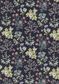 TANA LAWN AW26 FLORAL REMEDY