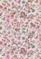TANA LAWN AW26 ISOLDE