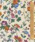 TANA LAWN AW26 ISOLDE