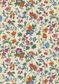 TANA LAWN AW26 ISOLDE