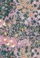 TANA LAWN AW26 ORCHARD FRESCO