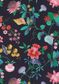 TANA LAWN AW26 DOREEN JUNE
