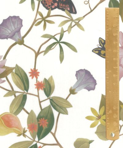TANA LAWN AW26 DOREEN JUNE
