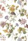 TANA LAWN AW26 DOREEN JUNE