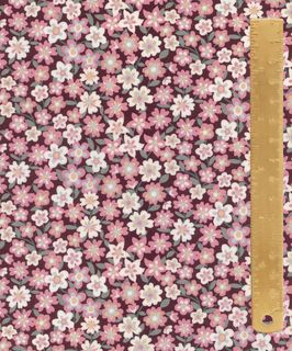 TANA LAWN AW26 DAPHNE OLENNA