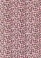 TANA LAWN AW26 DAPHNE OLENNA