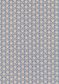 TANA LAWN AW26 TULIPOMANIA