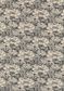 TANA LAWN AW26 PENELOPE'S DANCE