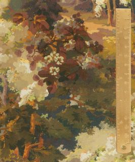 TANA LAWN AW26 AUTUMNAL ARBORETUM