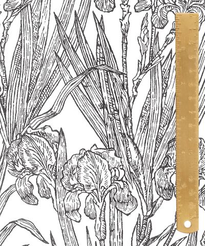 TANA LAWN AW26 INFINITE IRIS