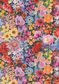 TANA LAWN AW26 MORRIS MEADOW