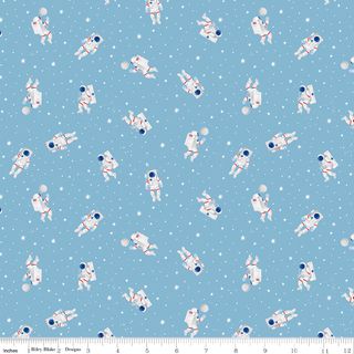 REACH FOR THE STARS WITH NASA