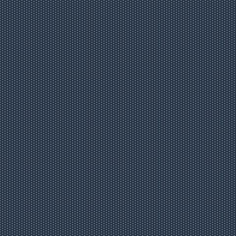 PINPRICKS NAVY - SILVER METALLIC