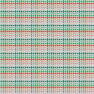 FUNDAMENTALS 1/8" CHECK MINT