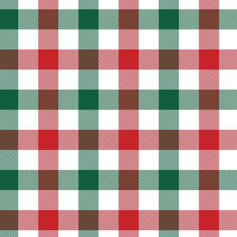 SEERSUCKER XMAS CHECK