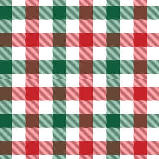 SEERSUCKER XMAS CHECK