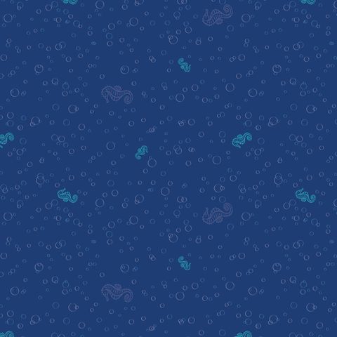 OCEAN JOY COORDINATES