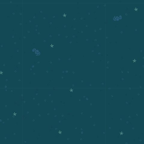 OCEAN JOY COORDINATES